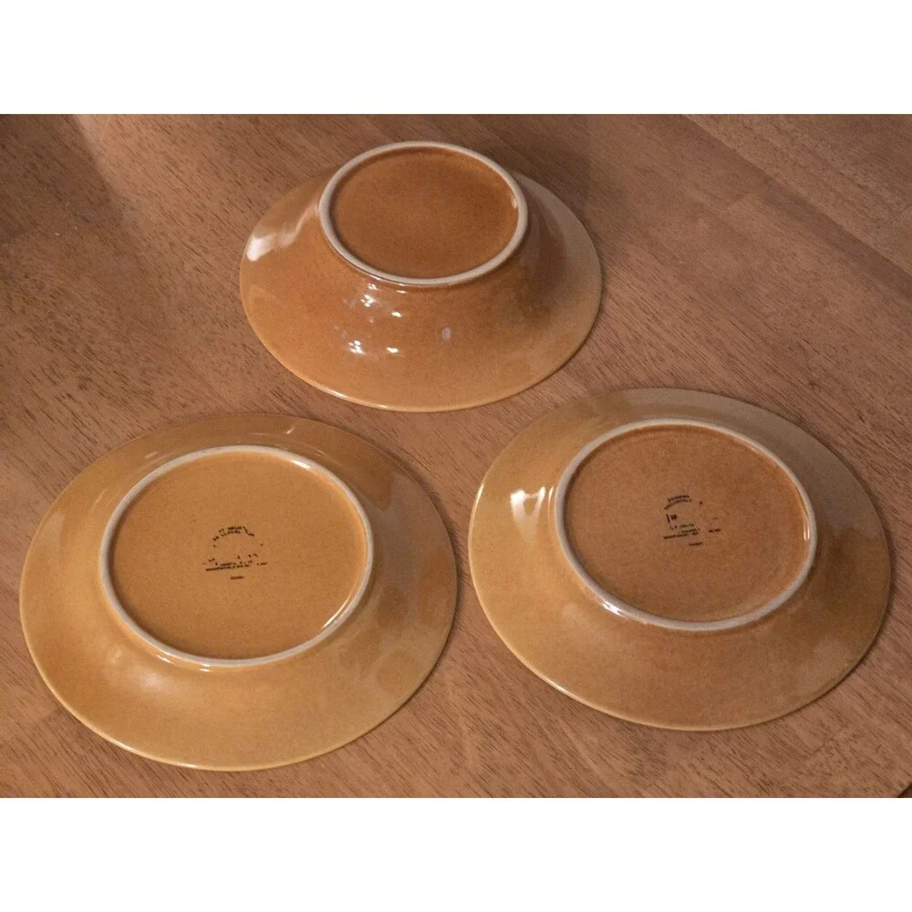 Pier 1 Spice Route Ginger Stoneware 3 Pc Set Beaded Rim Soup Bowl Salad Plates